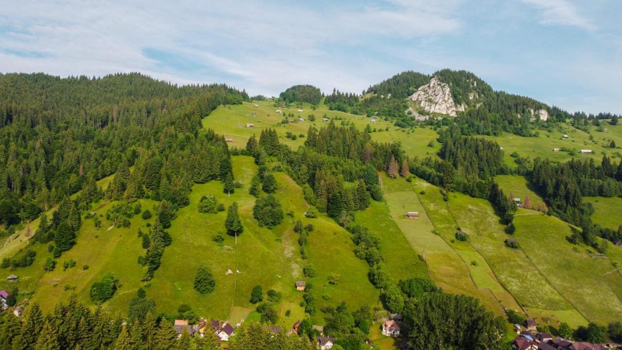 Pensiunea Malina Moeciu De Sus Exterior photo