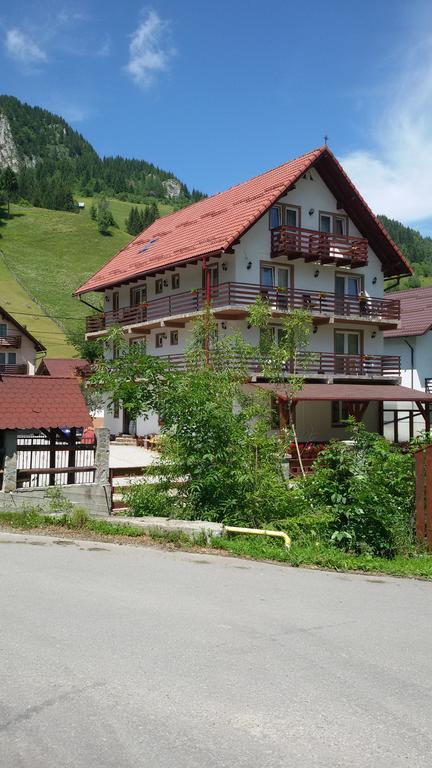 Pensiunea Malina Moeciu De Sus Exterior photo